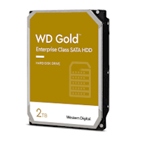 WD gold 2TB